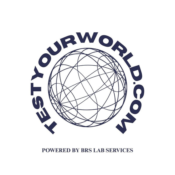 Test Your World