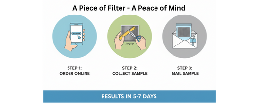 Direct Filter Test — No Kit Needed ($20 Off)