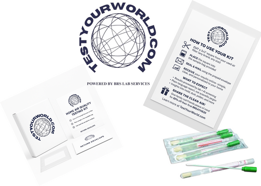 Mold Swab  + Free Shipping