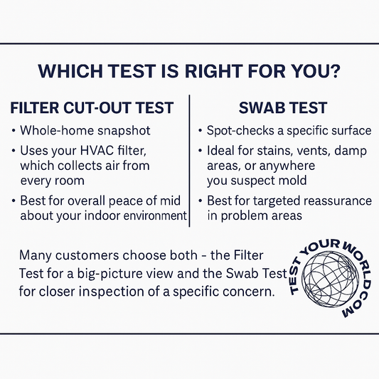 Combo Kit- Air Filter test and Swab test + Free Shipping